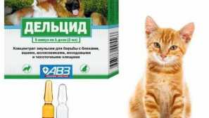 Aplikace bloch delicide v obytných prostorách, zpracovatelských fázích, efektivnosti, bezpečnostní opatření